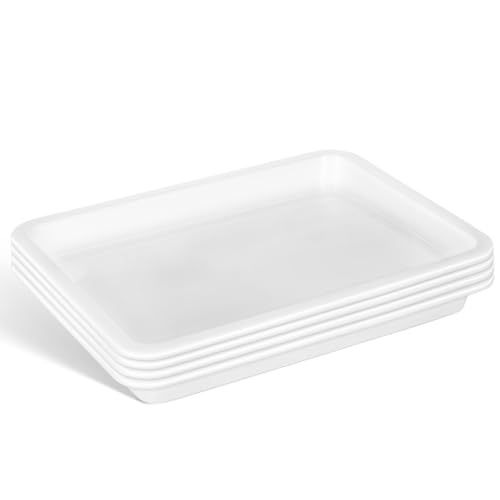 GLEAVI Lab Trays Plastic, 8 Pack Acid and Alkali Resistant Chemical Reagent Containment Pan, Leak-Proof Lab Storage Basin for Classroom Science Experiments, 9.7 x 7.3 Inch - size: 24.60X18.50X2.70CM (Pack of 2)