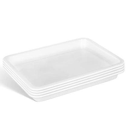 GLEAVI Lab Trays Plastic, 8 Pack Acid and Alkali Resistant Chemical Reagent Containment Pan, Leak-Proof Lab Storage Basin for Classroom Science Experiments, 9.7 x 7.3 Inch - size: 24.60X18.50X2.70CM (Pack of 2)