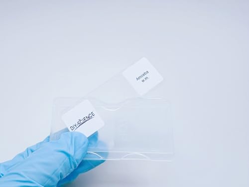 Amoeba Proteus Whole Mount Prepared Microscope Slides, 1pcs Amoeba Slide Shows Nucleus, Cytoplasm and The Cell Membrane