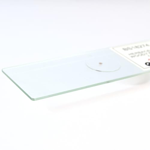 Eisco - 10 Pack Prepared Microscope Slides of Herbaceous Root Cross Section 25x77mm Glass Slides Stained for Plant Tissue Study