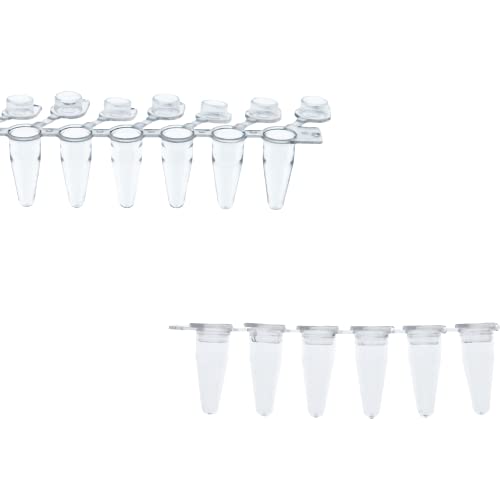 Kashi Scientific PCR 8-Tube Strip, Clear Polypropylene with Flat Caps - 125 Strips/Box (.1mL, Attached Cap) - size: .1mL, style: Attached Flat Cap