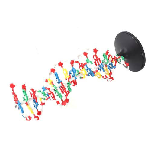 DNA Structure Model Plastic Educational DNA Model Teaching Equipment