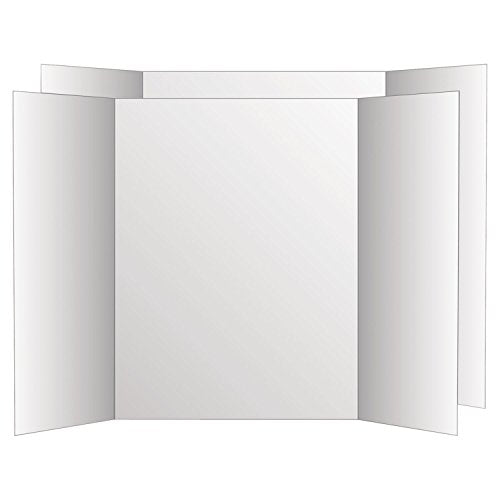 Geographics GEO26790 Royal Brites Project Board
