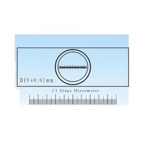 0.01mm Stage Micrometer Microscope Camera Calibration Slide