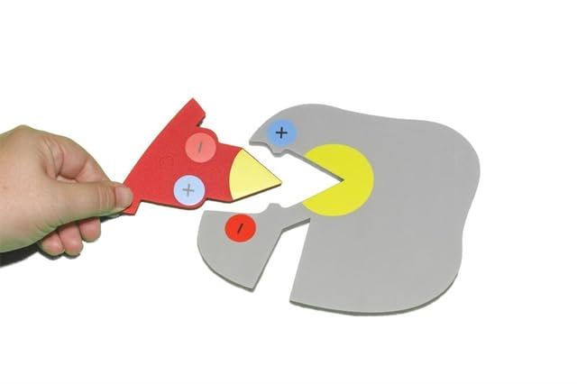 Enzymes in Action Kit© 6-Group Set