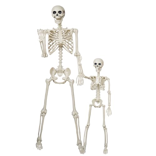 breesky 5.4Ft & 3Ft Skeleton for Halloween Decoration - color: Stone White
