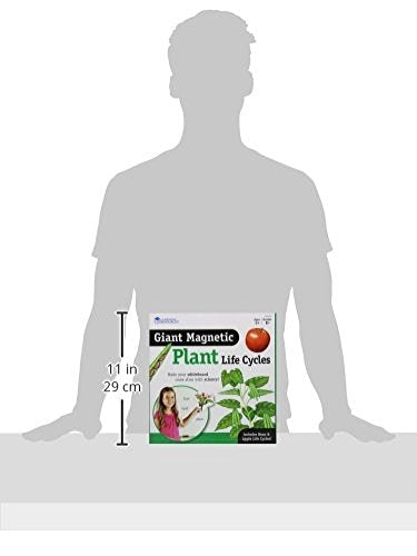 Learning Resources Giant Magnetic Plant Life Cycle - STEM Growing Seed, Montessori Tree , Biology Cards, Classroom Teacher Must Haves Activities, Science Homeschool Essentials, Gifts for Students