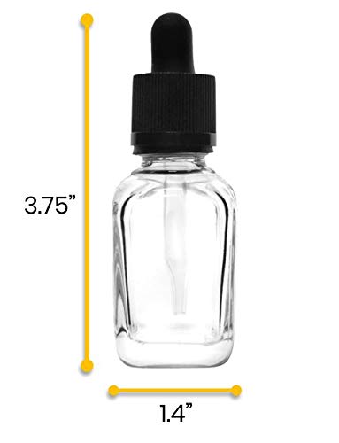 EISCO 6PK Heavy Duty Barnes Dropping Bottles, 30ml (1oz) - Transparent Soda Glass - 1ml Capacity Glass Dropper - Screw Cap with & Rubber Bulb Labs