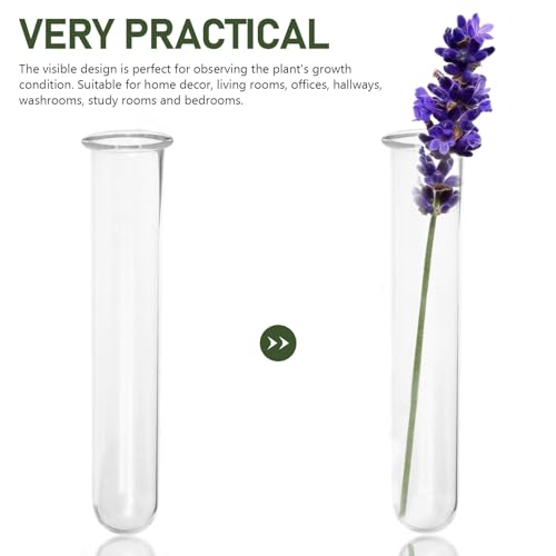 4 Pcs Glass Test Tube Vases for Flowers,5.9 x 1.18 Inch Hydroponic Propagation Tubes Plant Terrarium for Home Office Cafes Flower Shop Desktop Decoration