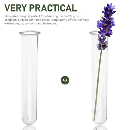 4 Pcs Glass Test Tube Vases for Flowers,5.9 x 1.18 Inch Hydroponic Propagation Tubes Plant Terrarium for Home Office Cafes Flower Shop Desktop Decoration