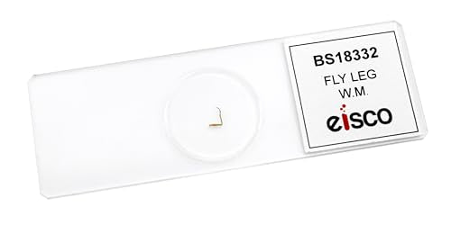 25pk Fly Leg, W.M, Prepared Microscope Slides - Classroom Pack, 25 Slides in Storage Case - Biology & Microscopy - Eisco Labs - style: Pack of 25