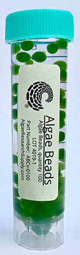 Algae Research and Supply: Algae Beads (Ready-to-go Algae Beads in Indicator- snap vials (x10)) - style: Ready-to-go Algae Beads in Indicator- snap vials (x10)