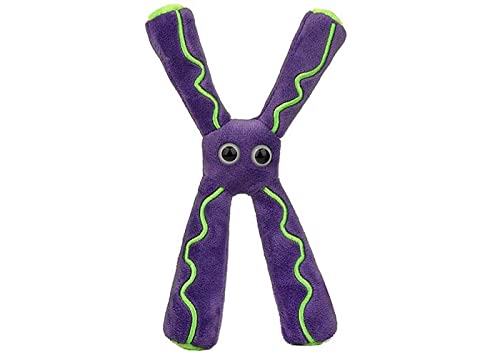 GIANT MICROBES Chromosome Plush, Genetics Gift, DNA Gifts, Genealogy, Ancestry Gift, Biology Plushies, Genetic Counselor, Forensic Science Gifts, Biology Models - size: 8 x 5 x 1.5 inches