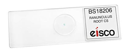 EISCO - Ranunculus Root - Cross Section - Prepared Microscope Slide - 75 x 25mm - Biology & Microscopy