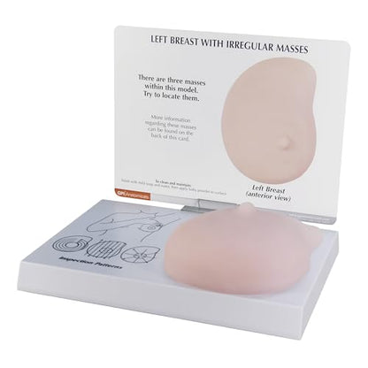 GPI Anatomicals Human Anatomy Model of Left Breast with Irregular Masses - style: Left Breast with Irregular Masses