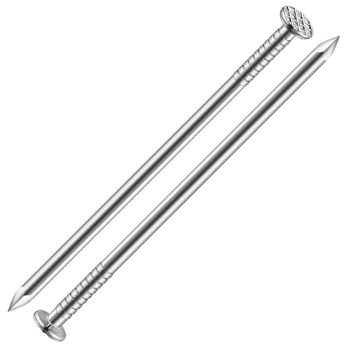 Wensilon (19 pcs)4 inch Stainless Steel 304 Nails, Hanging Nails, Wall Nails, Dowels, Long Nails - color: Ss, size: 4