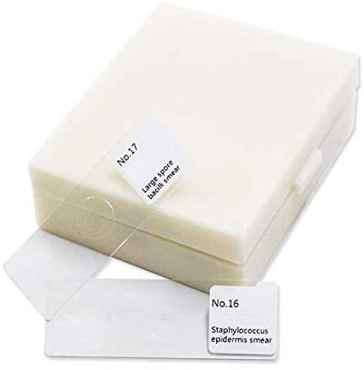 25-Set Prepared Microscope Microbiology Slides Sample Gram Stain Human Medicine Veterinary for Medical School Education