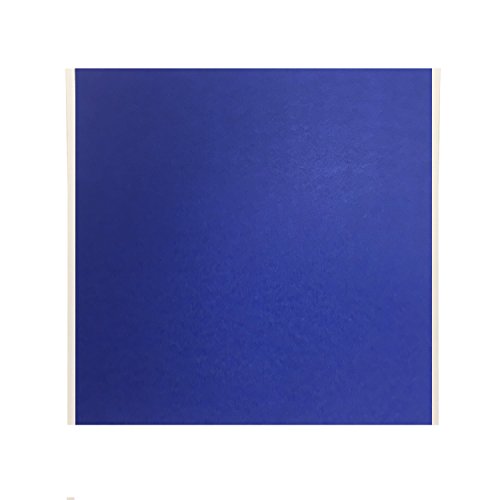 Gizmo Dorks 10 in x 10 in Blue Painters Tape 3D Printer Sheets 10 Pack