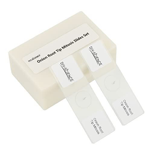 Onion Root Tips Cell Mitosis Microscope Slides Set, 15pcs Slides Show Plant Cell Mitosis Stages Clearly for Plant Genetics Biology Science Class(15 Count) - color: 15 count