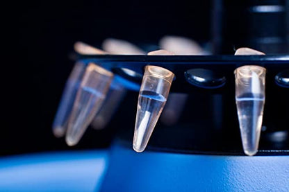 0.2ml Microcentrifuge Tubes 1000 Pieces, EO Sterilized Plastic Small Vials with Caps for Sample Storage Without Leakage(1000) - size: Sterile 0.2ml 1000pcs
