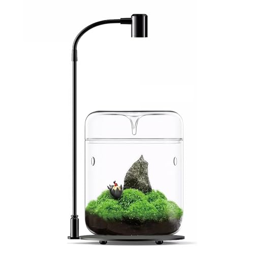 SARUFO Glass Plant Terrarium 4.7"X7" Inches Succulent Air Planter Fern Moss Micro-Landscape Vase for Home Office Tabletop Decoration Container with Lid Indoor Wardian Copyright Patent（with Light） - color: With Light