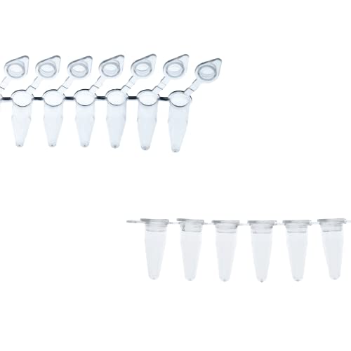 Kashi Scientific PCR 8-Tube Strip, Clear Polypropylene with Flat Caps - 125 Strips/Box (.2mL, Attached Cap) - size: .2mL, style: Attached Flat Cap