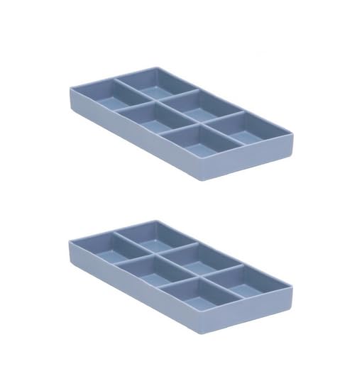 AmeiCan Goods 2/Pcs Dental Autoclavable Cabiet Tay #20 Plastic 6 Compartment Organizer Tray to Organize disc, Wheels, Stones and ect. 8"L x 4"W x 1"H (Gray) - color: Gray