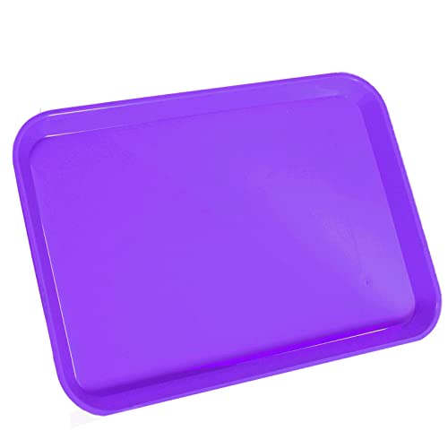 LA MIERE 1Pcs Autoclavable Dental Procedure Tray Lockable Set up Flat Trays Size B (Ritter),Plastic Instrument B-Lok Flat Trays, 13.25 x 9.75X 0.875 Inches (1, Purple) - color: Purple, size: 1