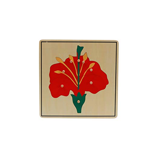 Adena Montessori Materials Botany Puzzle Cabinet (3 Puzzles Included)