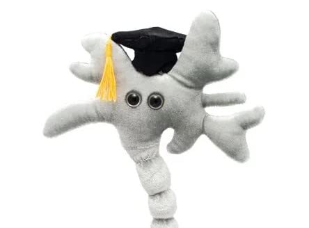 GIANTmicrobes Graduation Brain Cell Plush - Celebrate with our signature Brain Cell plush donning a graduation cap and tassel, Uniquely Fun Student Gift to Commemorate Achievements - size: Small