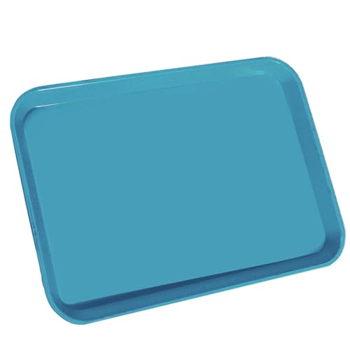LA MIERE 1Pcs Autoclavable Dental Procedure Tray Lockable Set up Flat Trays Size B (Ritter),Plastic Instrument B-Lok Flat Trays, 13.25 x 9.75X 0.875 Inches (1, Teal) - color: Teal, size: 1