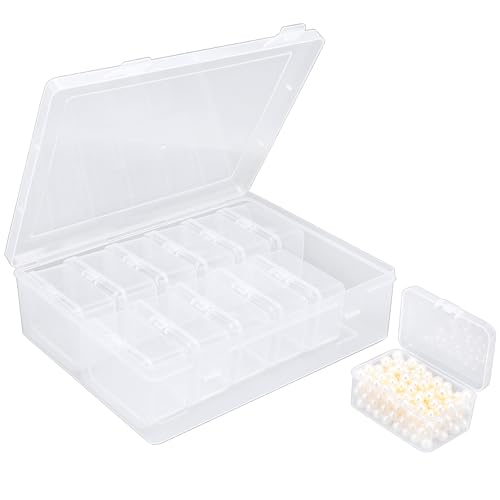 Cosics Bead Organizers and Storage, Clear Plastic Bead Storage Containers with 12 Mini Storage Case for Small Projects, DIY Craft Jewelry, Stickers, False Nails, Screws, Seeds - color: Clear, size: 12 Grids-1PCS