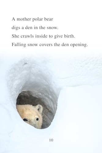 Ranger Rick: I Wish I Was a Polar Bear: A Level One I Can Read book packed with vivid polar bear photos, Arctic facts, and a blubber activity―ages 4-8 (I Can Read Level 1)