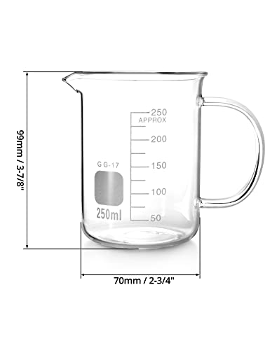 QWORK Beaker with Handle, 250ml/8.45oz, Measuring Cup, Borosilicate Glass, Beaker Mug with Pouring Spout, 2 Pack