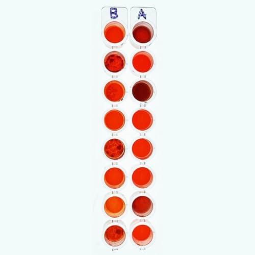 Blood Typing Kit, for 10 Lab Groups