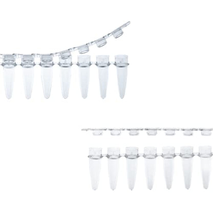 Kashi Scientific PCR 8-Tube Strip, Clear Polypropylene with Flat Caps - 125 Strips/Box (.2mL, Separate Cap) - size: .2mL, style: Separate Flat Cap