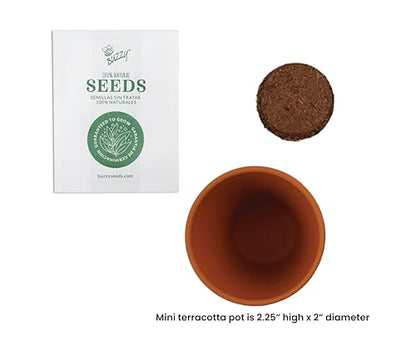 BUZZY Seeds Holiday Sweater Grow Kit 12-Pack, Terracotta Pots, Assorted - color: 12pk Daisy