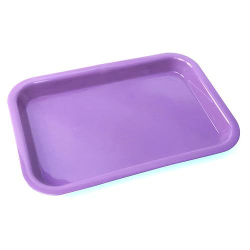 LA MIERE Pastel Lilac Dental Plastic Trays Autoclavable Procedure Flat Trays for Instrument, 13.25" X 9.75", Size F, Pastel Lilac - color: Pastel Lilac