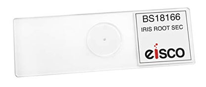 25PK Iris Root, Typical Monocot - Cross Section - Prepared Microscope Slides - Classroom Pack, 25 Slides in Storage Case - Biology & Microscopy - Eisco Labs - style: Pack of 25