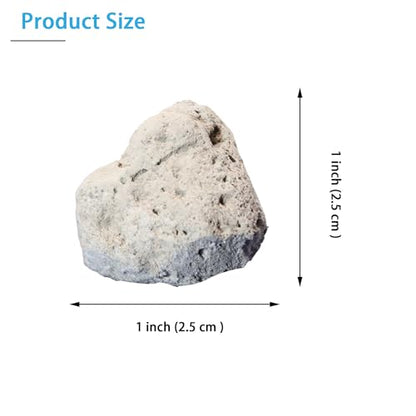 Pumice Rock Specimens (10 Pieces) - Metamorphic Rocks for Science Classrooms - Geologist Selected & Hand Processed - Class Pack, Education Collection