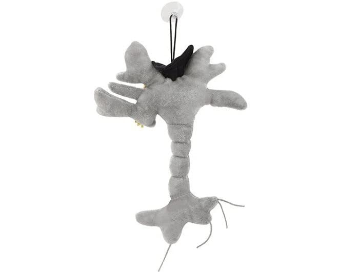 GIANTmicrobes Graduation Brain Cell Plush - Celebrate with our signature Brain Cell plush donning a graduation cap and tassel, Uniquely Fun Student Gift to Commemorate Achievements - size: Small