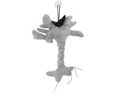GIANT MICROBES Graduation Brain Cell Plush - Celebrate with Our Signature Brain Cell Plush donning a Graduation Cap and Tassel, Uniquely Fun Student Gift to Commemorate Achievements (Pack of 3) - size: Small (Pack of 3)