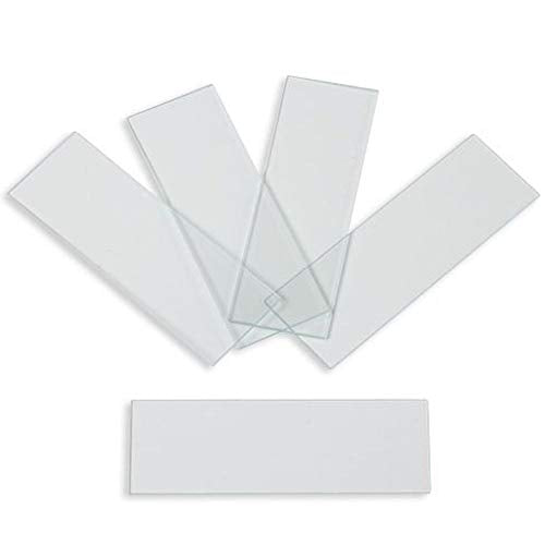 Microscope Slides, Ground Edges, Plain, 90 Corners, 3x1, Karter Scientific 206A11 (Pack of 720) - size: PACK OF 720