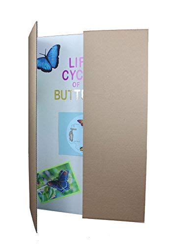 Flipside Products 36” x 48” Project Boards for Presentations, Science Fair, School Projects, Event Displays and Trifold Picture Board, Proudly Made in USA – Bleached White - 24 Pack - color: Bleached White, size: 24 Pack
