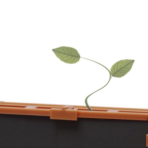 4M Green Science Grow-A-Maze DIY Plant Growth Lab and STEAM Science Kit