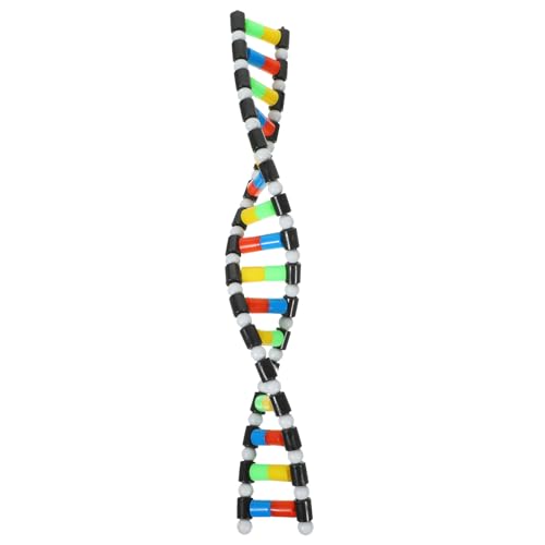 ibasenice DNA Double Helix Structure Model Kit Science Education Toy