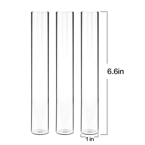 Kingbuy 3 Pack Glass Test Tube Propagation Vase Hydroponic Cuttings Planter - size: 3 Pack