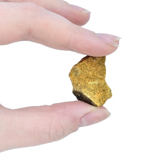 EISCO Raw Dolostone, Sedimentary Rocks - Approx. 1" - Geologist Selected & Hand Processed - Great for Science Classrooms