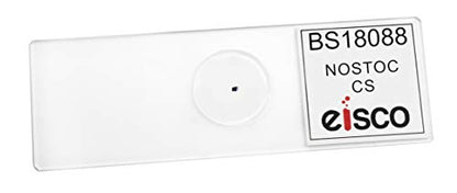 EISCO Nostoc Cross Section - FS & FG Stain - Prepared Microscope Slide - 75 x 25mm - Biology & Microscopy - size: Single Slide