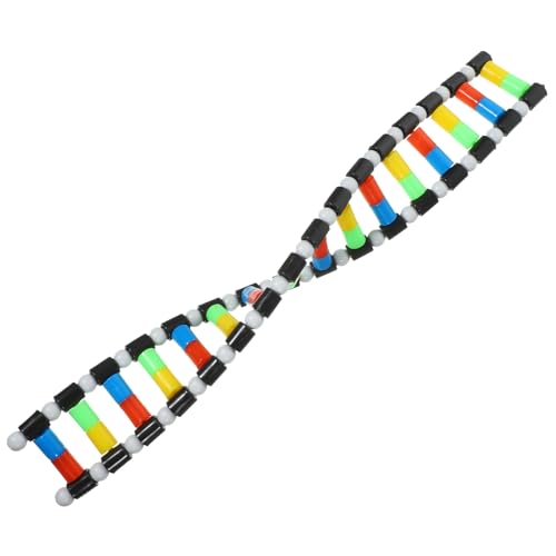 BESPORTBLE Teaching Aids Model - DNA Double Helix Structure Model Kit for Easy Assembly Science Classroom Supplies Educational DNA Structure Learning for Home and School - size: 40.00X5.70X2.00CM